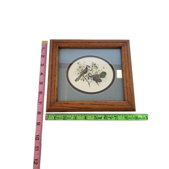 Framed Blue Jay Wall Hanging - Picture 4 of 4